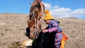 ᠲᠥᠯᠴᠢᠨ ᠬᠡᠦᠬᠡᠳ Бяцхан малчин охин