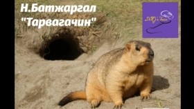 ᠲᠠᠷᠪᠠᠭᠠᠴᠢᠨ-ᠨ ∙ ᠪᠠᠲᠤᠵᠢᠷᠭᠠᠯ-ᠬᠣᠱᠣᠩ ᠥᠭᠦᠯᠡᠯᠭᠡ Н.Батжаргал Тарвагачин хошин өгүүллэг