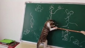 ᠮᠤᠤᠷ ᠰᠠᠮᠪᠠᠷ᠎ᠠ ᠳᠡᠭᠡᠷᠡᠬᠢ ᠬᠤᠯᠤᠭᠠᠨ᠎ᠠ ᠶᠢ ᠪᠠᠷᠢᠬᠤ- ᠱᠣᠭМуур самбар дээрх хулганыг барих-шог