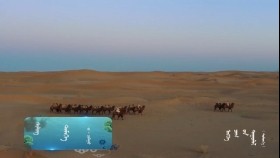 ᠲᠡᠮᠡᠭᠡ -ᠵᠢ᠊ ᠴᠢᠯᠠᠭᠤТэмээ-Ж ЧулууTemee