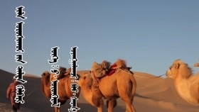 ᠢᠯᠡ ᠣᠷᠣᠰᠢᠬᠤᠢ ᠶ᠋ᠢᠨ ᠳᠠᠯᠳᠠ ᠬᠡᠯᠪᠡᠷᠢ-ᠫ᠊·ᠣᠶᠤᠨᠭᠡᠷᠡᠯИл оршихуйн далд хэлбэр-П·Оюунгэрэл