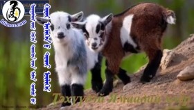 ᠤᠬᠠᠭᠠᠯᠢᠭ ᠢᠶᠠᠷ ᠬᠡᠷᠬᠢᠨ ᠳᠠᠢᠰᠤᠨ ᠢᠶᠠᠨ ᠢᠯᠠᠨ ᠳᠡᠢᠯᠵᠦ ᠪᠤᠢ ᠬᠣᠶᠠᠷ ᠢᠰᠢᠭᠡᠨ ᠦ ᠲᠤᠬᠠᠢ ᠦᠯᠢᠭᠡᠷухаалагаар хэрхэн дайснаа ялан дийлж буй хоёр ишигний тухай үлгэр