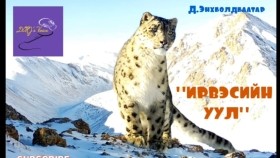 ᠢᠷᠪᠢᠰ ᠤ᠋ᠨ ᠠᠭᠤᠯᠠ-ᠳ᠋᠊ ∙ ᠡᠩᠬᠡᠪᠣᠯᠤᠳᠪᠠᠭᠠᠲᠤᠷ-ᠥᠭᠦᠯᠡᠯᠭᠡД.Энхболдбаатар Ирвэсийн уул өгүүллэг