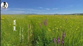 ᠥᠬᠢᠨ ᠵᠠᠶᠠᠭᠠᠨ— ᠬᠠᠢᠷᠠᠲᠤ ᠥᠬᠢᠨ ᠣᠳᠣᠨ ᠳ᠋ᠤ᠌ ᠪᠠᠨ-ᠬᠡᠷᠡᠢᠳ ᠮᠥᠩᠬᠡᠨᠠᠰᠤᠨ Охин заяан— хайрт охин одондоо-Хэрэйд Мөнхнасан