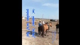 ᠭᠤᠷᠪᠠᠨ ᠨᠠᠰᠤᠲᠠᠢ ᠬᠡᠦᠬᠡᠳ ᠮᠣᠷᠢ ᠪᠠᠷ ᠴᠡᠴᠡᠷᠯᠢᠭ ᠲᠦ᠍ ᠪᠡᠨ ᠶᠠᠪᠤᠵᠤ ᠪᠠᠢᠨ᠎ᠠГураван настай хүүхэд мориор цэцэрлэгтээ явж байна