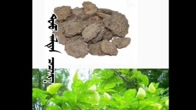 ᠲᠣᠮᠣ ᠠᠯᠲᠠᠨ ᠴᠡᠴᠡᠭ ᠦ᠋ᠨ ᠦᠷ᠎ᠡТом алтан цэцгийн үрTom altan tsetsgiin ür