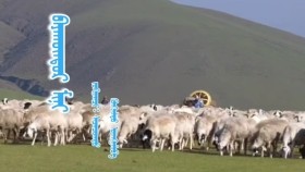 ᠪᠠᠶᠠᠡᠦ᠌ᠨᠳᠦᠷ ᠮᠢᠨᠢ- ᠰᠠᠴᠠᠨᠴᠤᠭᠲᠤБаян-Өндөр минь-Сэцнцогт