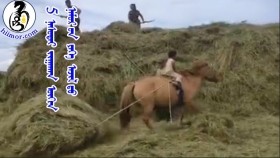 5 ᠨᠠᠰᠤᠲᠠᠢ ᠵᠢᠭᠠᠬᠠᠨ ᠥᠬᠢᠨ ᠨᠠᠮᠤᠷ ᠤᠨ ᠶᠡᠬᠡ ᠠᠵᠢᠯ ᠳᠤ5-н настай тэр жоохон охин намрын их ажилд