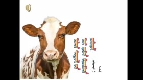 ᠠᠯᠠᠭ ᠲᠤᠭᠤᠯ ᠤ᠋ᠨ ᠡᠵᠢ ᠳ᠋ᠡᠭᠡᠨ ᠪᠢᠴᠢᠭᠰᠡᠨ ᠵᠠᠬᠢᠳᠠᠯ-ᠲᠦᠮᠡᠨАлаг тугалын ээждээ бичсэн захидал-Түмэн