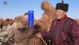 ᠲᠡᠮᠡᠭᠡ ᠬᠥᠭᠰᠢᠷᠡᠲᠡᠯ᠎ᠡ ᠴᠢᠮ᠎ᠠ ᠲᠠᠢ ᠦᠷᠭᠦᠯᠵᠢ ᠬᠠᠮᠲᠤ ᠪᠠᠢᠳᠠᠭТэмээ хөгширтөл чамтай үргэлж хамт байдаг
