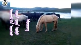 ᠳᠣᠲᠣᠭᠰᠢ ᠪᠠᠨ ᠤᠷᠤᠰᠬᠤ ᠲᠣᠷᠭᠠᠨ ᠴᠠᠭᠠᠨ ᠠᠶᠠᠯᠭᠤДотогшоо урсах турган цагаан аялгуу