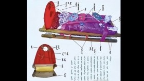 ᠬᠡᠦᠬᠡᠳ ᠦ᠋ᠨ ᠥᠯᠥᠭᠡᠢ ᠶ᠋ᠢᠨ ᠪᠦᠲᠦᠴᠡХүүхдийн өлгийн бүтэц