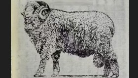 ᠮᠠᠨ ᠤ᠋ ᠤᠯᠤᠰ ᠤ᠋ᠨ ᠭᠣᠣᠯ ᠪᠣᠯᠬᠤ ᠬᠣᠨᠢᠨ ᠤ᠋ ᠡᠭᠦᠯᠳᠡᠷ ᠦ᠋ᠳМанай улсын гол болох хонны үүлдрүүд