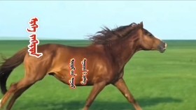 ᠡᠷᠬᠡ ᠵᠡᠭᠡᠷᠳᠡ- ᠴᠢᠮᠡᠭ Эрх зээрд-Чимгээ