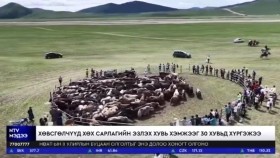 ᠬᠥᠪᠰᠥᠭᠥᠯ ᠠᠢᠮᠠᠭ ᠲᠤ᠌ ᠰᠠᠷᠯᠤᠭ ᠤ᠋ᠨ ᠪᠠᠶᠠᠷ ᠪᠣᠯᠵᠤ᠂ ᠡᠮᠨᠢᠭ ᠰᠠᠷᠯᠤᠭ ᠪᠤᠯᠭᠢᠭᠤᠯᠬᠤ᠂ ᠪᠤᠭᠤᠢᠯᠠᠳᠠᠬᠤ ᠲᠡᠮᠡᠴᠡᠭᠡᠨ ᠨᠦ᠍ᠭᠦᠳ ᠵᠣᠬᠢᠶᠠᠭᠳᠠᠯ᠎ᠠХөвсгөл аймагт сарлагийн баяр болж, эмнэг сарлаг булгиулах, бугуйлдах тэмцээнүүд зохиогдлоо