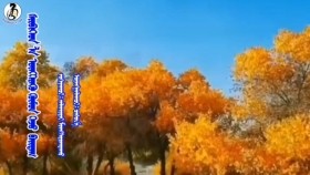 ᠰᠢᠷᠪᠢᠭᠡᠳ ᠯᠡ ᠥᠩᠭᠡᠷᠡᠬᠦ ᠬᠥᠮᠦᠨ ᠭᠡᠵᠦ ᠪᠠᠢᠳᠠᠭ -ᠵᠠᠯᠠᠢᠷᠲᠠᠢ ᠮᠥᠩᠬᠡᠲᠣᠭᠲᠠᠬᠤШирвээд л өнгөрөх хүмүүн гэж байдаг-Залайртай Мөнхтогтох