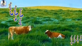 ᠨᠠᠢᠷᠠᠭ ᠤ᠋ᠨ ᠤᠨᠳᠤᠷᠤᠯ ᠲᠠᠢ ᠮᠣᠩᠭᠣᠯ ᠨᠤᠲᠤᠭNairgiin undrultui mongol nutagНайргийн ундрултуй монгол нутаг