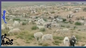 ᠪᠦᠲᠦᠨ- ᠴᠢ᠊ · ᠤᠷᠠᠨᠴᠡᠴᠡᠭBüten-Chi ·UrntsetsegБүтэн-Чи ·Урнцэцэг