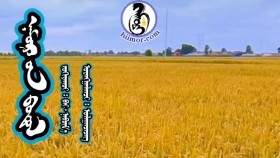 ᠨᠠᠮᠤᠷ ᠤ᠋ᠨ ᠪᠣᠳᠣᠯ -ᠪᠠᠢ· ᠨᠡᠪᠴᠢᠮ᠎ᠡ Namryn bodol-Bai·NavchimaНамрын бодол-Бай·Навчима