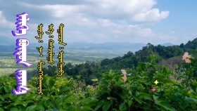 ᠡᠯᠢᠭᠡ ᠪᠦᠲᠦᠨ ᠵᠠᠶᠠᠭ᠎ᠠ-ᠤᠷᠠᠩᠭᠤᠸ᠋᠎ᠠEleg büten zayaa-UrangooЭлэг бүтэн заяа-Урангоо