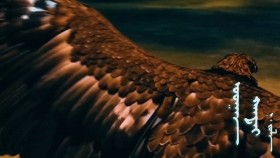 ᠤᠤᠭᠠᠨ ᠬᠠᠨᠲᠠᠢ-ᠨ ᠂ ᠵᠤᠯᠠUugan khantai-N ,ZoolУуган хантай-Н ,Зоол