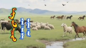 ᠱᠠᠭ᠎ᠠ ᠶ᠋ᠢᠨ ᠨᠠᠭᠠᠳᠤᠮ -ᠲᠤᠭᠴᠢ ᠯᠤᠪᠰᠠᠩ Shagaagiin naadam-Tugch LuvsanШагаагийн наадам-Тугч Лувсан