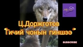 ᠭᠢᠴᠢᠢ ᠴᠢᠨᠣ᠎ᠠ ᠶ᠋ᠢᠨ ᠭᠢᠩᠰᠢᠭᠡ-ᠼ ∙ ᠳᠣᠷᠵᠢᠭᠣᠲᠤᠪ Gichii chonyn ginsheeЦ.Доржготов Гичий чонын гиншээ өгүүллэг