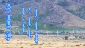 ᠵᠡᠭᠡᠷ᠎ᠡ ᠲᠠᠭᠰᠢᠭᠰᠠᠨ ᠭᠣᠪᠢ – ᠦᠭᠡ᠄ ᠲ· ᠯᠤᠪᠰᠠᠩ ᠂ ᠠᠶ᠎ᠠ᠄ ᠲᠦᠳᠦᠪ᠂ ᠴᠢᠯᠠᠭᠤ᠂  ᠳᠠᠭᠤᠴᠢᠨ᠄ ᠤᠷᠢᠬᠠᠨ᠂ ᠳᠠᠪᠰᠢᠯᠲᠤ  Зээр дагшсан говь – үгээ᠄ Д· Лувсан ︔ аяа᠄ Түтэв᠂ Чулуу︔ дуучин᠄ Урьхан᠂ Давшилт
