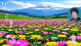 ᠲᠣᠭᠣᠷ -ᠮᠦᠯᠡᠨTuur-MölnТуур-Мөлн