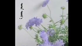 ᠲᠣᠰᠣᠨ ᠲᠣᠣᠷᠮ᠎ᠠToson tooromТосон тоором