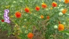 ᠭᠦᠷᠭᠦᠮGürgemГүргэм