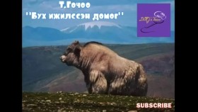 ᠪᠤᠬ᠎ᠠ ᠢᠵᠢᠯᠢᠰᠦᠭᠰᠡᠨ ᠳᠣᠮᠣᠭ-ᠲ ∙ ᠭᠣᠴᠣᠣBukh ijilssen domog-T.Gochoo Т.Гочоо Бух ижилссэн домог