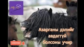 ᠠᠵᠢᠷᠭᠠᠨ ᠤ᠋ ᠳᠡᠯ ᠢ᠋ ᠠᠪᠳᠠᠭ ᠦᠭᠡᠢ ᠪᠣᠯᠤᠭᠰᠠᠨ ᠤ᠋ ᠤᠴᠢᠷAzargany deliig avdaggüi bolsny uchir Азарганы дэлийг авдаггүй болсны учир