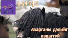 ᠠᠵᠢᠷᠭᠠᠨ ᠤ᠋ ᠳᠡᠯ ᠢ᠋ ᠠᠪᠳᠠᠭ ᠦᠭᠡᠢ ᠪᠣᠯᠤᠭᠰᠠᠨ ᠤ᠋ ᠤᠴᠢᠷAzargany deliig avdaggüi bolsny uchir Азарганы дэлийг авдаггүй болсны учир