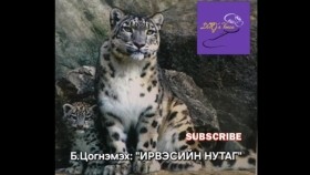 ᠢᠷᠪᠢᠰ ᠦ᠋ᠨ ᠨᠤᠲᠤᠭ- ᠪ∙ ᠴᠣᠭᠨᠡᠮᠡᠬᠦIrvesiin nutag-B.TsognemekhИрвэсийн нутаг-Б.Цогнэмэх