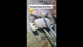 ᠡᠬᠡ ᠶ᠋ᠢᠨ ᠬᠠᠢᠷ᠎ᠠ -ᠨᠠᠢ᠍ᠮᠠᠯᠵᠢEgeegiin khair-naimaljЭгээгийн хайр-наймалж