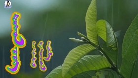 ᠬᠣᠩᠬᠣᠨ ᠴᠡᠴᠡᠭ - ᠲ᠂ ᠤᠰᠬᠠᠪᠠᠶᠠᠷ᠂ ᠭ᠂ ᠣᠳᠬᠣᠨᠵᠤᠯᠠХонхон цэцэг-Т,Усгабаяр,Г,Отгонзул