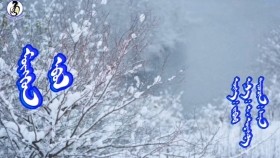 ᠮᠥᠩᠭᠥᠨ ᠡᠪᠦᠯ -ᠰᠠᠨᠠMöngön övöl-SanaМөнгөн өвөл-Сана