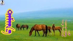 ᠲᠠᠮᠠᠭ᠎ᠠ- ᠮᠦ᠊᠂ ᠬᠠᠰᠰᠣᠳᠤ Damga-möö, khassodДамга-мөө, хассод