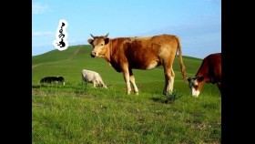 ᠭᠢᠸᠠᠩGivaanГиваан