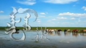 ᠮᠠᠯᠴᠢᠨ ᠠᠪᠤ- ᠰᠡᠴᠡᠨМалчин аав-Цэцэн