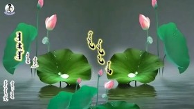 ᠵᠠᠩ ᠰᠢᠦ ᠯᠢᠩ- ᠴᠠᠭᠠᠨᠪᠠᠷᠰЖан шүү лин-Цагаанбар
