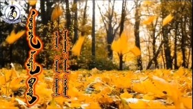 ᠥᠨᠥᠴᠢᠨ ᠰᠢᠷᠭᠠᠯ ᠪᠦᠷᠦᠢ -ᠲᠦᠮᠡᠳ·  ᠬᠡᠰᠢᠭᠪᠥᠷᠢᠨӨнчин шаргал бүрий-Түмд·Хишигвүрэн