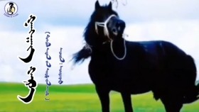 ᠭᠠᠩᠭᠠᠩ ᠬᠠᠷ᠎ᠠ -ᠰᠢᠵᠢᠷᠭᠠᠷᠤᠳᠢGangan khar-ShijirgaridГанган хар-Шижиргарьд