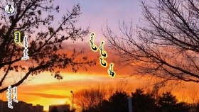 ᠳ᠋ᠦᠳᠠ -ᠴᠠᠭᠠᠨᠪᠠᠷᠰDüda-TsagaanbarДүда-Цагаанбар