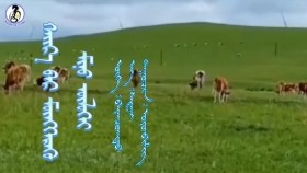 ᠬᠠᠢᠷ᠎ᠠ ᠪᠠᠷ ᠮᠥᠩᠬᠡᠷᠡᠬᠦ ᠮᠢᠨᠦ ᠥᠯᠥᠭᠡᠢ -ᠣᠶᠤᠨᠪᠢᠯᠢᠭ᠌  Хайраар мөнхрөх миний өлгий-Оюунбилэг