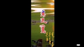 ᠰᠢᠯᠢ ᠶ᠋ᠢᠨ ᠭᠣᠣᠯ- ᠡ ᠤᠶᠠᠩᠭ᠎ᠠШилийн гол-ө уянга