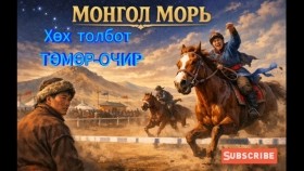 ᠮᠣᠩᠭᠣᠯ ᠮᠣᠷᠢ-ᠬᠥᠬᠡ ᠲᠣᠯᠪᠣᠲᠤ ᠳ ∙ ᠲᠡᠮᠦᠷᠸᠴᠢᠷМонгол морь-Хөх толбот Д.Төмөр-Очир