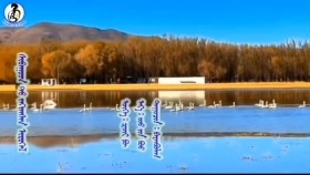 ᠰᠢᠪᠠᠭᠤᠳ ᠲᠤ᠌ ᠵᠠᠬᠢᠭᠰᠠᠨ ᠢᠷᠦᠭᠡᠯ- ᠪᠠᠶᠠᠨᠪᠤᠯᠠᠭШувуудад захисан ерөөл-Баянбулаг