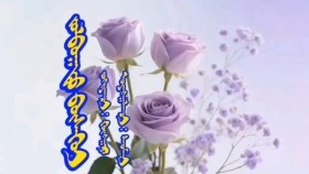 ᠵᠣᠯᠪᠣᠭᠠᠲᠤ ᠪᠦᠰᠡᠭᠦᠢ-ᠭᠦᠩᠭᠠᠷZolboot büsgüi- GüngarЗолбоот бүсгүй- Гүнгар